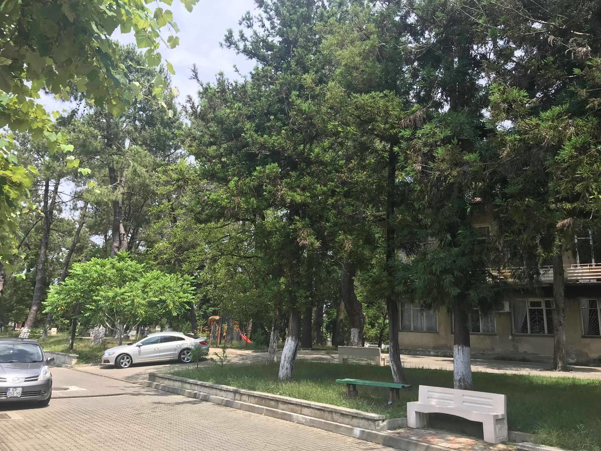 Anna Hostel Kobuleti Extérieur photo