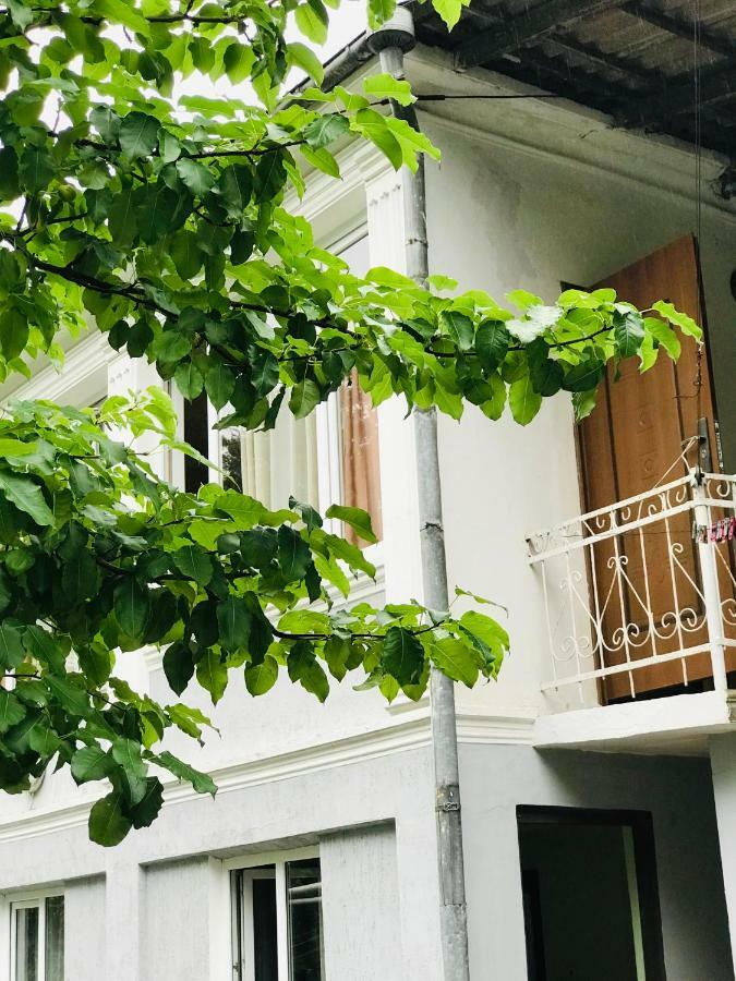Anna Hostel Kobuleti Extérieur photo